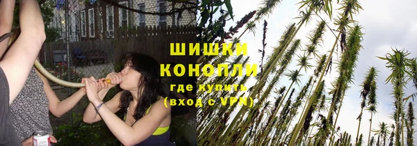 PSILOCYBIN Навашино