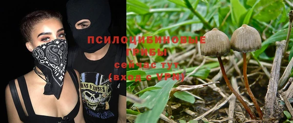 ALPHA-PVP Алексин