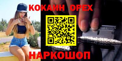 стаф Сланцы