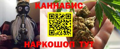 дмт Славгород