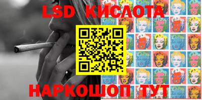 дмт Славгород