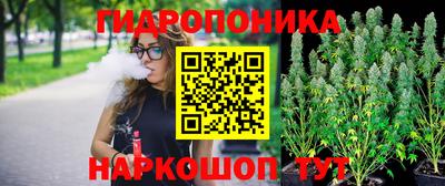 стаф Сланцы
