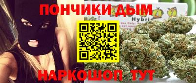 стаф Сланцы