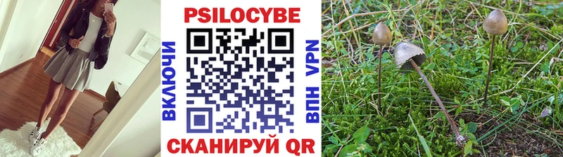 Галлюциногенные грибы Psilocybe Черногорск